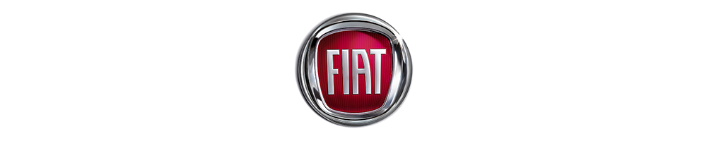 Dragkrokar till Fiat DUCATO I