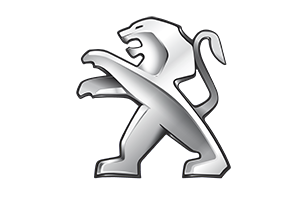 Dragkrokar till Peugeot 307 Break, 2002, 2003, 2004, 2005, 2006, 2007, 2008, 2009, 2010, 2011